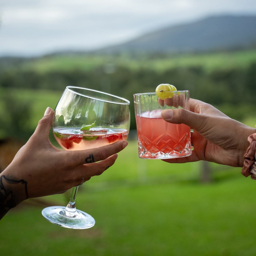 Man and woman toasting North of Eden Distillery gin