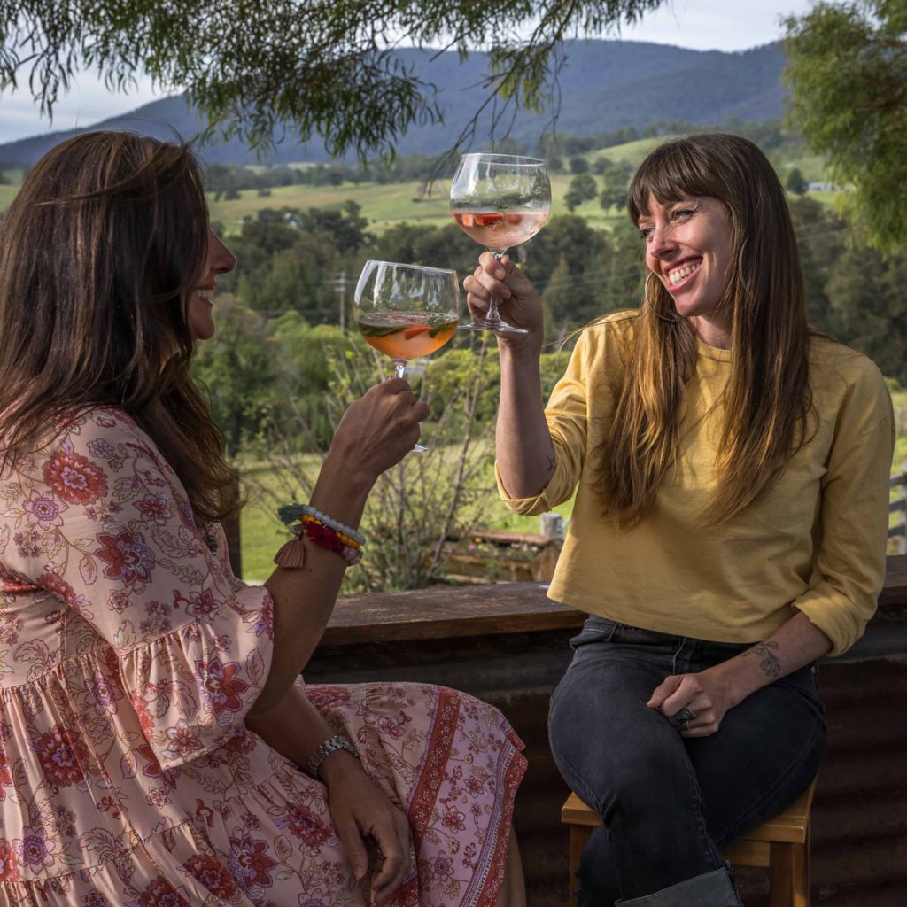 Two women toasting wine with fruits in it